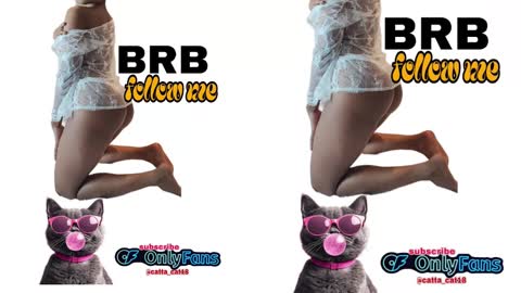 catta cat18 online show from 02.23.25