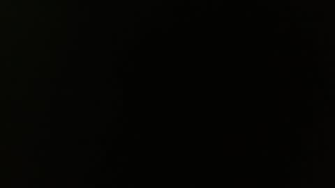 cattalina online show from 02.02.25