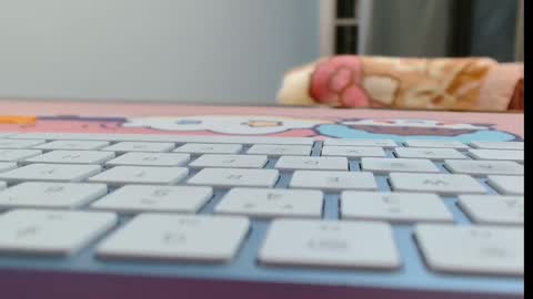 Snapshot of cbz112233 chatting on 02.16.26 ANNYANNY online show from 02.16.26