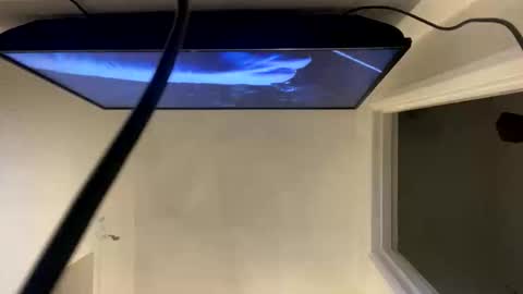 Snapshot of ccsexycam chatting on 04.10.26 ccsexycam online show from 04.10.26