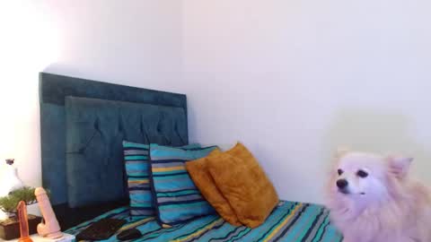 Cedrixx10 online show from 11.11.25