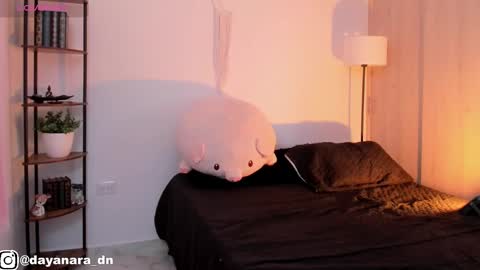 Alice online show from 02.26.25