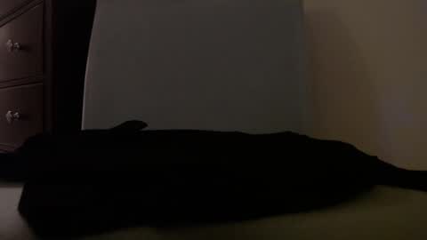 Snapshot of centerfield24 chatting on 01.14.25 Centerfield online show from 01.14.25