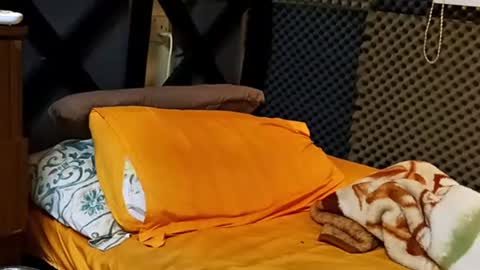 Snapshot of cezar46 chatting on 09.18.25 cezar online show from 09.18.25