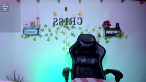 Snapshot of cfiscm chatting on 02.13.26 NAMOR online show from 02.13.26