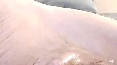 cfnmkinky28 online show from 12.17.24