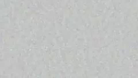 oilmeup online show from 04.06.26