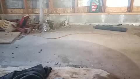 chadr1616 online show from 11.15.25