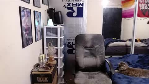 Chaos Kat online show from 02.09.25