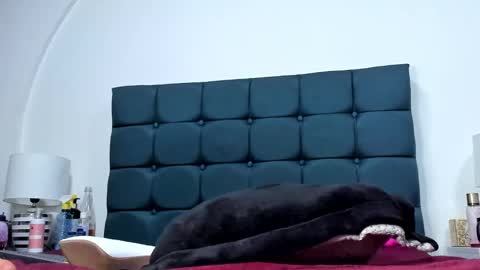 Charlott online show from 03.11.25