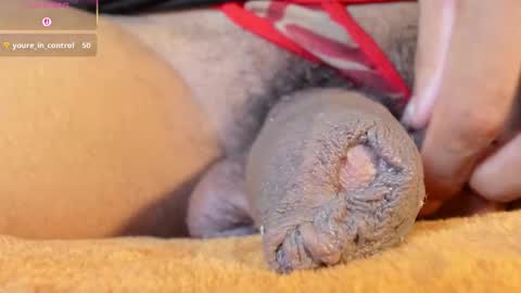 Char online show from 01.15.26