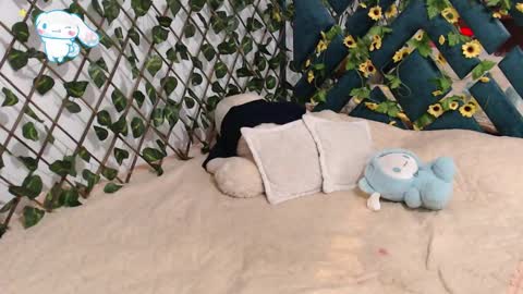 charly_evans60 online show from 02.19.25