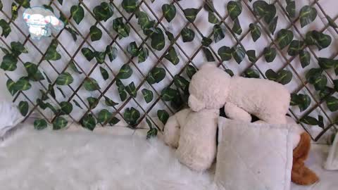 charly_evans60 online show from 02.27.25