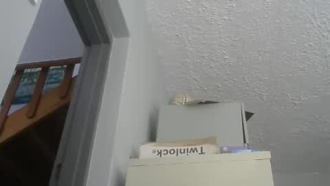 Snapshot of chaturbatordeluxe chatting on 12.21.25 chaturbatordeluxe online show from 12.21.25