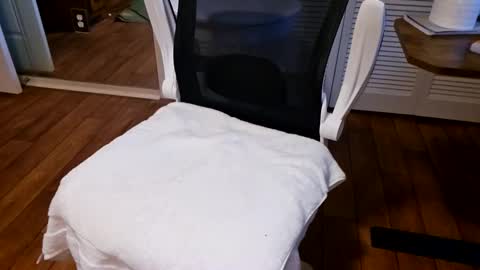 chaytay12 online show from 01.27.25