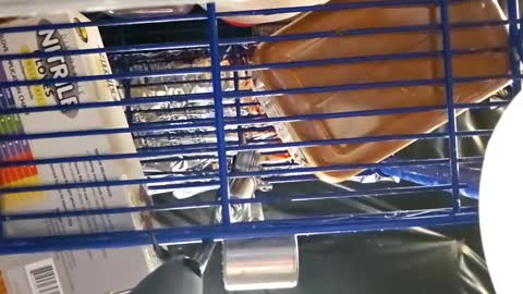 Snapshot of cheffydl chatting on 11.16.25 cheffydl online show from 11.16.25