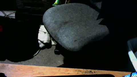 chefy online show from 01.13.25