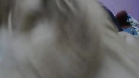 Cheila online show from 11.17.25