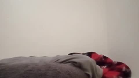 ChemicalX  online show from 02.04.26