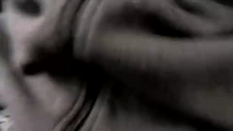 chicagosuburbs7 online show from 01.16.26