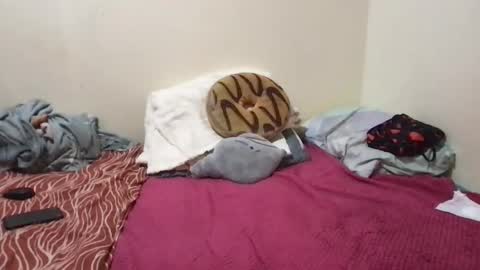 chris_jake1 online show from 03.14.26