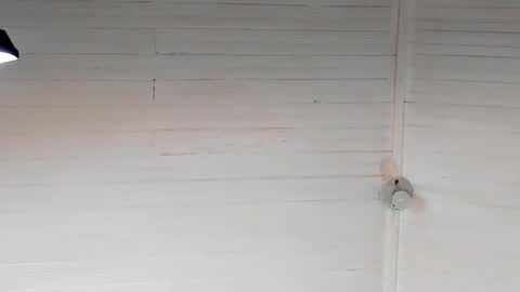 Snapshot of chris_macgregoor chatting on 12.05.24 Chriz online show from 12.05.24