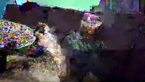 Snapshot of christopher1087 chatting on 03.03.26 christopher1087 online show from 03.03.26