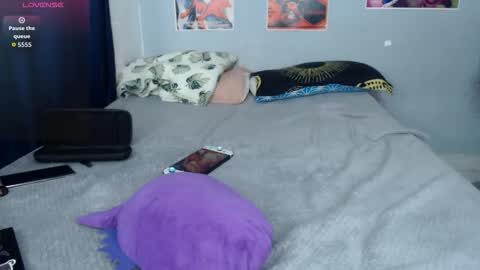 Herbert online show from 01.14.26