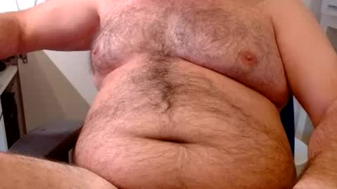 Chubby Bear BY online show from 07.01.26