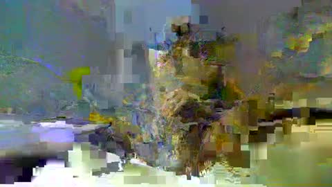 Snapshot of chuck354139 chatting on 02.13.25 chuck354139 online show from 02.13.25