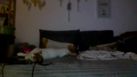 ciasnsyrize1996 online show from 03.04.25