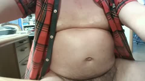 Circus Bear online show from 01.11.25