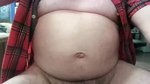 Circus Bear online show from 01.12.26