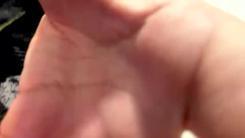 claudiolicro online show from 04.12.26