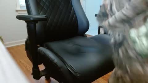 Snapshot of cobra19765 chatting on 01.17.26 cobra19765 online show from 01.17.26