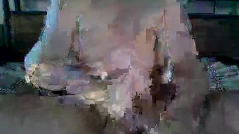 Snapshot of cockgpt chatting on 04.19.26 Ethan Slade online show from 04.19.26