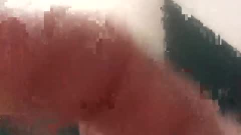 Cockhunter online show from 09.11.25