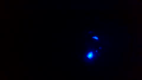 cocksmithog online show from 12.13.24