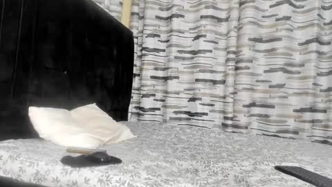 Snapshot of coco_leila chatting on 01.29.25 coco_leila online show from 01.29.25