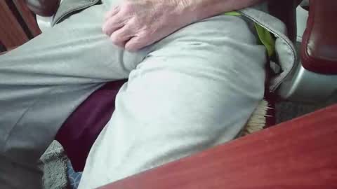 cody81421 online show from 01.15.26