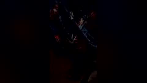 codyonit888 online show from 01.11.26