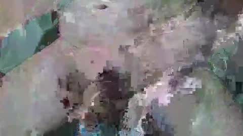 cogela_sin_miedo online show from 10.06.25