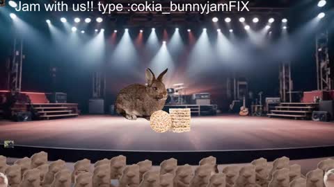 Cokia online show from 12.05.24