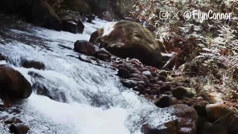 Connor Flyn online show from 12.12.24