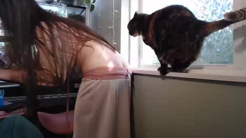 ANR Mommy online show from 09.26.25