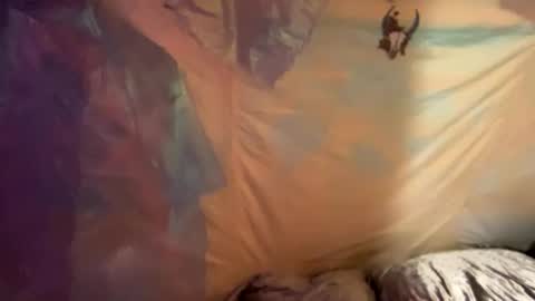 Snapshot of coochiechakrahealer chatting on 12.30.24 coochiechakrahealer online show from 12.30.24