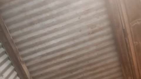 Jaiscookie cum play with me online show from 02.19.26