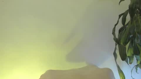 Coral princex online show from 02.20.26