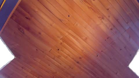 Coraline online show from 01.24.25