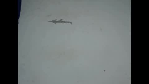 cornxcunt online show from 02.18.26